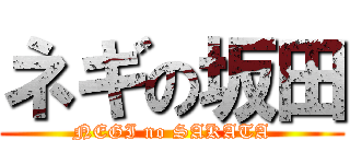 ネギの坂田 (NEGI no SAKATA)