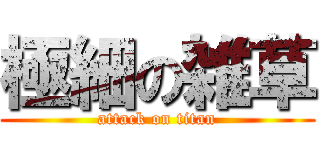 極細の雑草 (attack on titan)