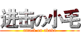 进击の小毛 (attack on akaka)