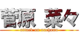 菅原 菜々 (attack on nachann)