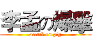 李孟の爆擊 (attack on pig)