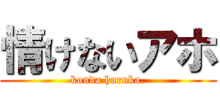 情けないアホ (konda haruka.)