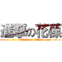 進撃の花葆 (attack on titan)