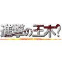 進撃の王木扥 (attack on titan)