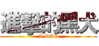 進擊的黑犬 (A DOG)