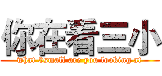 你在看三小 (what 3small are you looking at)