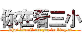 你在看三小 (what 3small are you looking at)
