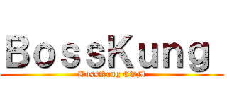 ＢｏｓｓＫｕｎｇ  (BossKung COM)