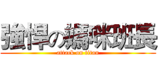 強悍の媽咪班長 (attack on titan)