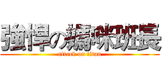 強悍の媽咪班長 (attack on titan)