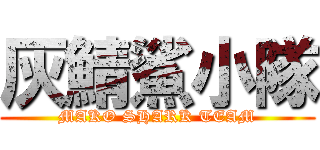 灰鯖鯊小隊 (MAKO SHARK TEAM)