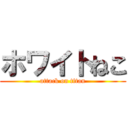 ホワイトねこ (attack on titan)