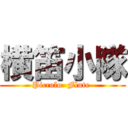 横笛小隊 (Piccolo  Flute )