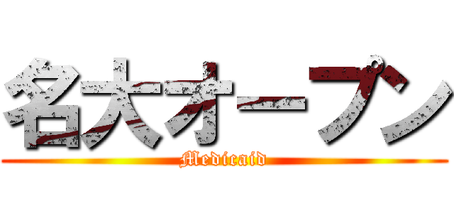 名大オープン (Medicaid)