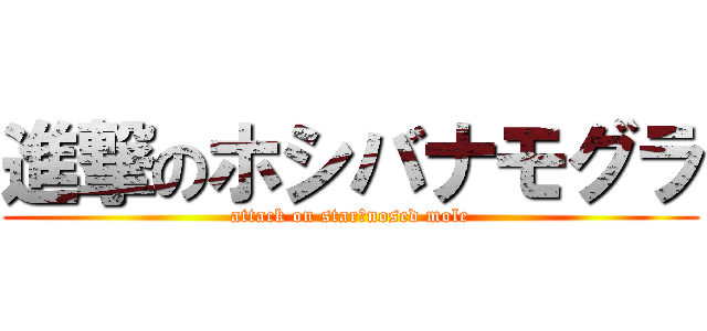 進撃のホシバナモグラ (attack on star‐nosed mole)