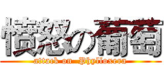 愤怒の葡萄 (attack on  Phylloxera)
