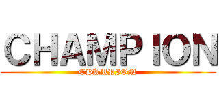 ＣＨＡＭＰＩＯＮ (CHAMPION)