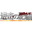 进击の肥貓 (attack on titan)