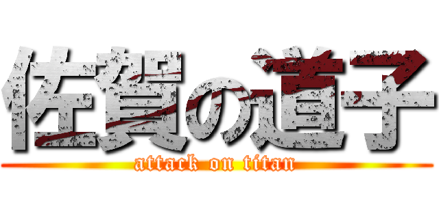 佐賀の道子 (attack on titan)