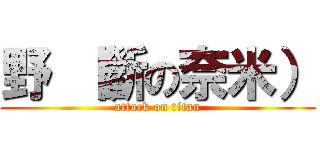 野 （斷の奈米） (attack on titan)