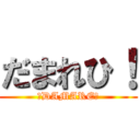 だまれひ！ (☆DAMARE☆)