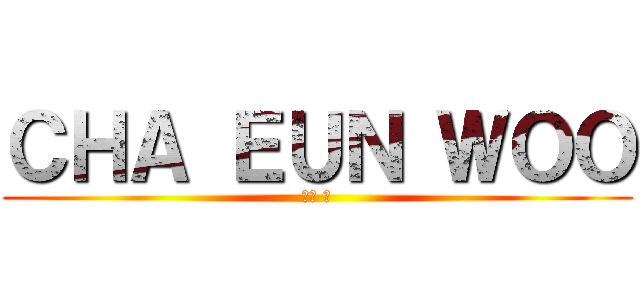 ＣＨＡ ＥＵＮ ＷＯＯ (차은 우)
