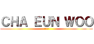 ＣＨＡ ＥＵＮ ＷＯＯ (차은 우)