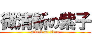 微清新の紫子 (attack on titan)