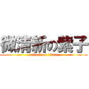 微清新の紫子 (attack on titan)