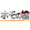 ホモの槍 (Graviton Homo spear)