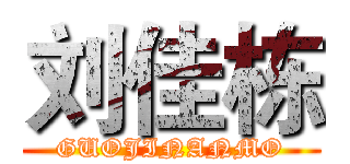 刘佳栋 (GUOJINANMO)