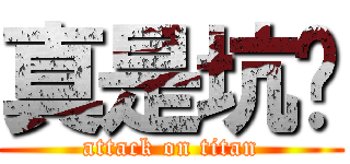 真是坑爹 (attack on titan)