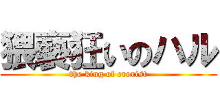 猥褻狂いのハル (the king of erorist)