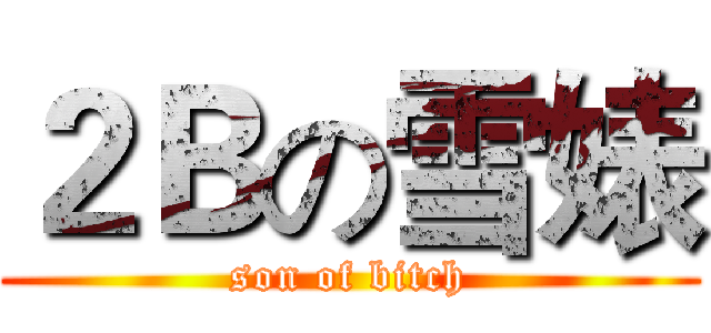 ２Ｂの雪婊 (son of bitch)