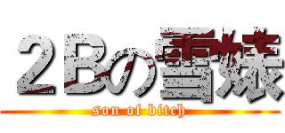 ２Ｂの雪婊 (son of bitch)