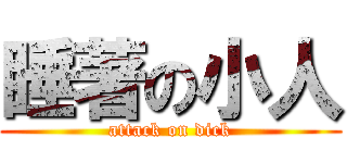 睡著の小人 (attack on dick)