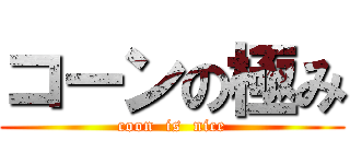 コーンの極み (coon  is  nice)