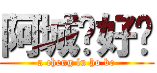 阿城你好吗 (a cheng lu ho bo)