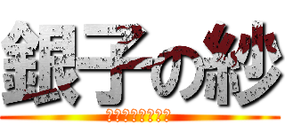 銀子の紗 (流動時尚‧動感美)