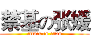 禁基の张媛 (attack on titan)