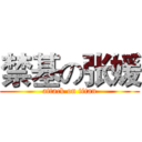 禁基の张媛 (attack on titan)