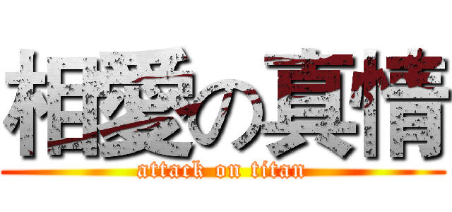 相愛の真情 (attack on titan)