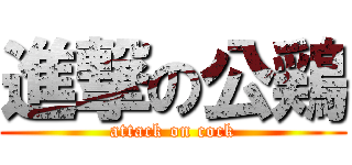 進撃の公鶏 (attack on cock)