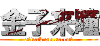金子来瞳 (attack on carrot)