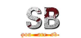 ＳＢ (you   are  sb)
