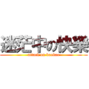 迷茫中の快樂 (attack on baobao)