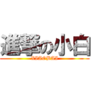 進撃の小白 (XIAOBAI)