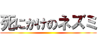 死にかけのネズミ ()