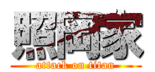 照岡家 (attack on titan)