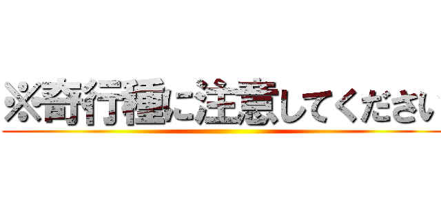 ※奇行種に注意してください ()